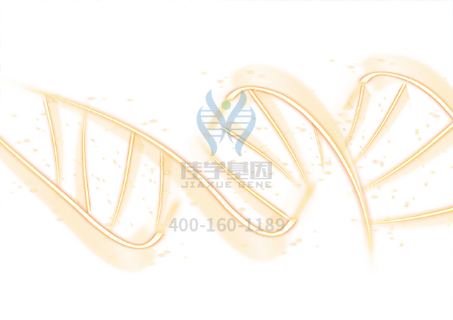 【佳學基因檢測】COLTON血型多態(tài)性基因解碼、<a href=http://floridacomunitycollege.com/tk/jiema/cexujishu/2021/31933.html>基因檢測</a>報告時間是一樣的嗎？