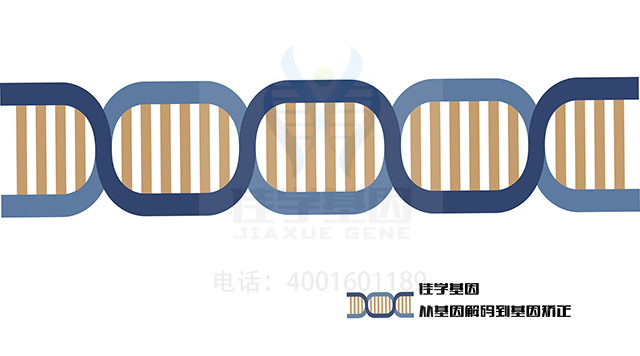 【佳學(xué)基因檢測】怎樣選擇卡爾曼綜合征1型基因解碼、<a href=http://floridacomunitycollege.com/tk/jiema/cexujishu/2021/31933.html>基因檢測</a>？