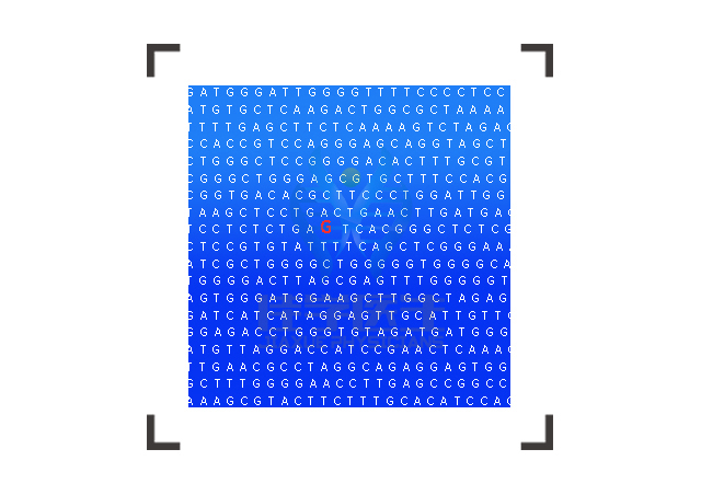 【佳學基因檢測】做線粒體DNA缺失綜合征12a（心肌病型）常染色體顯性基因解碼、<a href=http://floridacomunitycollege.com/tk/jiema/cexujishu/2021/31933.html>基因檢測</a>需要多少錢？