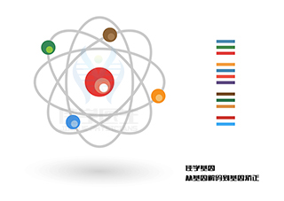 【佳學(xué)基因檢測】怎么做基底神經(jīng)節(jié)鈣化特發(fā)性4型基因解碼、<a href=http://floridacomunitycollege.com/tk/jiema/cexujishu/2021/31933.html>基因檢測</a>?