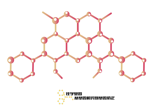 【佳學(xué)基因檢測(cè)】做慢性特發(fā)性纖維化肺泡炎基因解碼、<a href=http://floridacomunitycollege.com/tk/jiema/cexujishu/2021/31933.html>基因檢測(cè)</a>需要多長(zhǎng)時(shí)間？