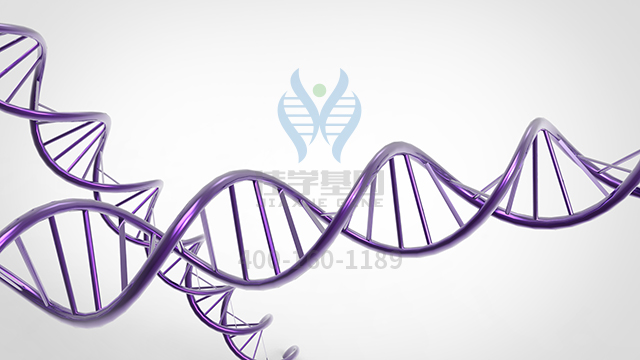 【佳學(xué)基因檢測(cè)】特發(fā)性類(lèi)固醇耐藥的腎病綜合征基因解碼、<a href=http://floridacomunitycollege.com/tk/jiema/cexujishu/2021/31933.html>基因檢測(cè)</a>報(bào)告看得懂嗎？