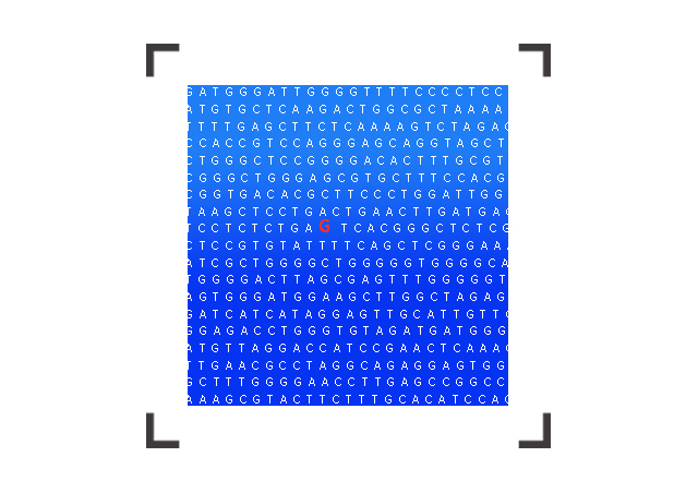 【佳學(xué)基因檢測(cè)】TK2相關(guān)的線粒體DNA缺失綜合征肌病型基因解碼、<a href=http://floridacomunitycollege.com/tk/jiema/cexujishu/2021/31933.html>基因檢測(cè)</a>的樣品有區(qū)別嗎？