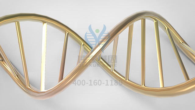 【佳學(xué)基因檢測】視網(wǎng)膜色素變性9型基因解碼、基因檢測的報告看得懂嗎？