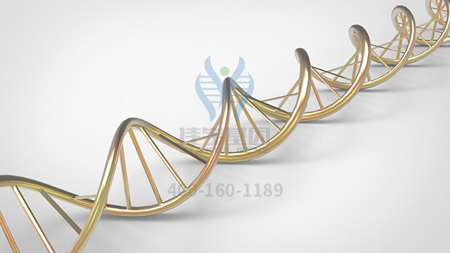 【佳學(xué)基因檢測】做進(jìn)行性家族性肝內(nèi)膽汁淤積癥3型基因解碼、<a href=http://floridacomunitycollege.com/tk/jiema/cexujishu/2021/31933.html>基因檢測</a>方便嗎？