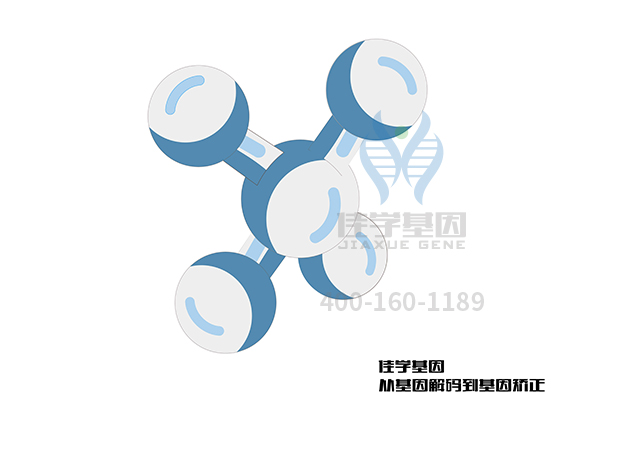 【佳學基因檢測】利巴韋林敏感性-毒性/ADR基因解碼、<a href=http://floridacomunitycollege.com/tk/jiema/cexujishu/2021/31933.html>基因檢測</a>的報告看得懂嗎？