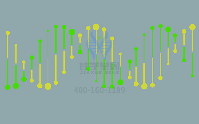 【佳學(xué)基因檢測(cè)】多發(fā)性纖維肉芽腫基因解碼、<a href=http://floridacomunitycollege.com/tk/jiema/cexujishu/2021/31933.html>基因檢測(cè)</a>怎么預(yù)約解讀？