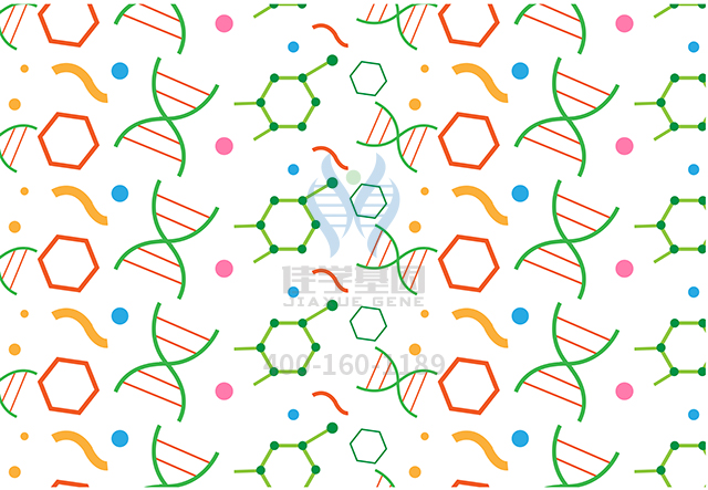 【佳學(xué)基因檢測(cè)】甲狀腺球蛋白合成缺陷基因解碼、<a href=http://floridacomunitycollege.com/tk/jiema/cexujishu/2021/31933.html>基因檢測(cè)</a>報(bào)告看得懂嗎？