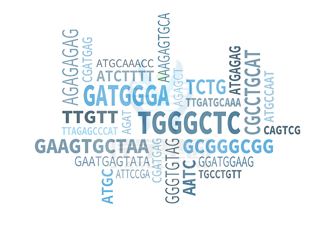 【佳學(xué)基因檢測(cè)】怎樣選擇Trichohepatoenteric綜合征2型基因解碼、<a href=http://floridacomunitycollege.com/tk/jiema/cexujishu/2021/31933.html>基因檢測(cè)</a>？