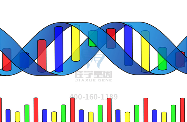 【佳學(xué)基因檢測(cè)】糖皮質(zhì)激素受體多態(tài)性基因解碼、<a href=http://floridacomunitycollege.com/tk/jiema/cexujishu/2021/31933.html>基因檢測(cè)</a>有什么用？