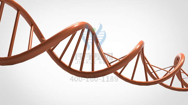 【佳學(xué)基因檢測(cè)】做胰腺囊腫基因解碼、<a href=http://floridacomunitycollege.com/tk/jiema/cexujishu/2021/31933.html>基因檢測(cè)</a>的費(fèi)用是多少？