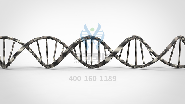 <b>【佳學基因檢測】瞼裂狹小綜合征1型基因解碼、基因檢測的報告有人解讀嗎？</b>