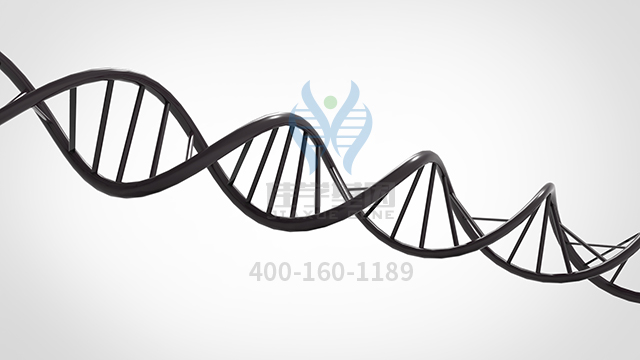 【佳學(xué)基因檢測(cè)】特發(fā)性胰腺炎易感性型基因解碼、<a href=http://floridacomunitycollege.com/tk/jiema/cexujishu/2021/31933.html>基因檢測(cè)</a>可以只做<a href=http://floridacomunitycollege.com/tk/jiema/cexujishu/2021/31933.html>基因檢測(cè)</a>嗎？