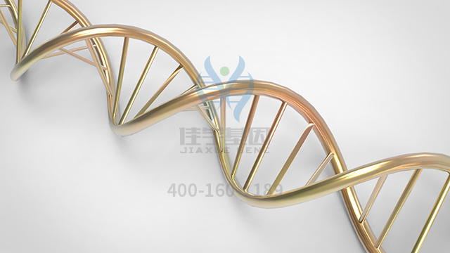 【佳學基因檢測】做孔源性視網(wǎng)膜脫離常染色體顯性基因解碼、<a href=http://floridacomunitycollege.com/tk/jiema/cexujishu/2021/31933.html>基因檢測</a>的費用是多少？