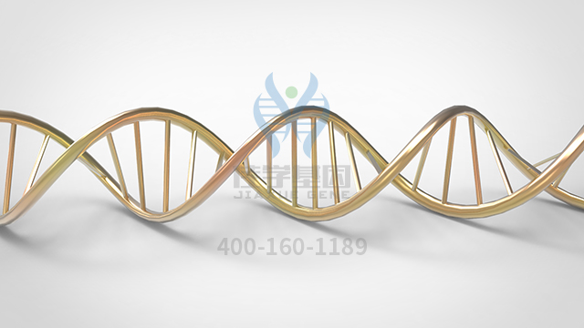 【佳學(xué)基因檢測】什么人要做A型胰島素抵抗綜合征基因解碼、<a href=http://floridacomunitycollege.com/tk/jiema/cexujishu/2021/31933.html>基因檢測</a>？