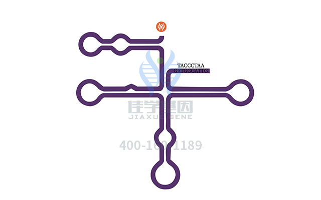 【佳學基因檢測】做阿拉吉綜合征2型基因解碼、<a href=http://floridacomunitycollege.com/tk/jiema/cexujishu/2021/31933.html>基因檢測</a>需要到總部嗎？