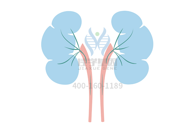 【佳學(xué)基因檢測】如何區(qū)分重癥肌無力綜合征先天性2c型與乙酰膽堿受體缺乏相關(guān)基因解碼、<a href=http://floridacomunitycollege.com/tk/jiema/cexujishu/2021/31933.html>基因檢測</a>？