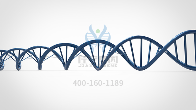 【佳學(xué)基因檢測(cè)】耳聾常染色體隱性84b型基因解碼、<a href=http://floridacomunitycollege.com/tk/jiema/cexujishu/2021/31933.html>基因檢測(cè)</a>的樣品有區(qū)別嗎？