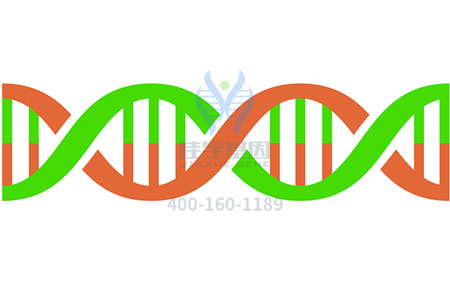 【佳學(xué)基因檢測(cè)】外胚層發(fā)育不良皮膚脆弱綜合征基因解碼、<a href=http://floridacomunitycollege.com/tk/jiema/cexujishu/2021/31933.html>基因檢測(cè)</a>有什么用？