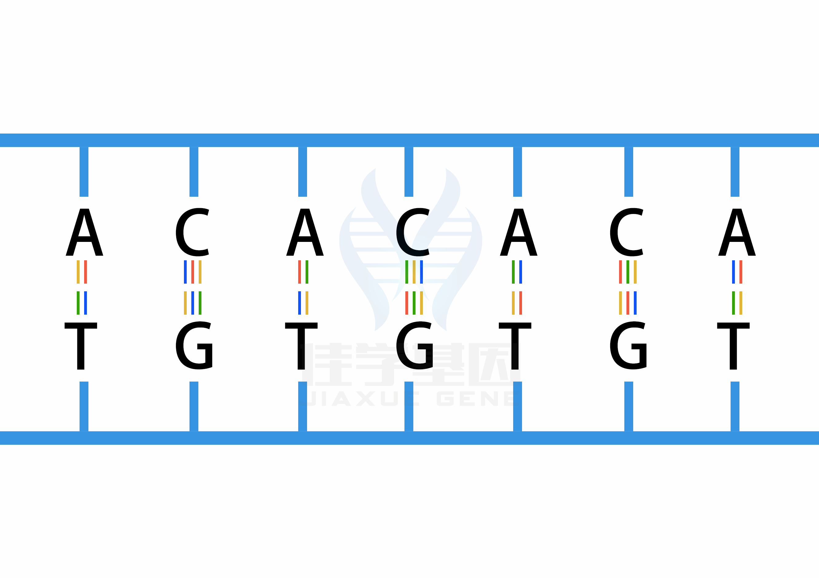 【佳學(xué)基因檢測(cè)】什么人要做性腺機(jī)能減退糖尿病<font color='red'>脫發(fā)</font>智力低下和心電圖異常基因解碼、<a href=http://floridacomunitycollege.com/tk/jiema/cexujishu/2021/31933.html>基因檢測(cè)</a>？