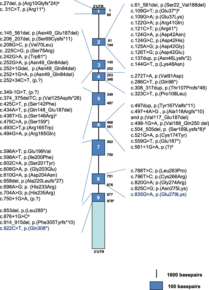 An external file that holds a picture, illustration, etc.
Object name is 13023_2020_1319_Fig3_HTML.jpg